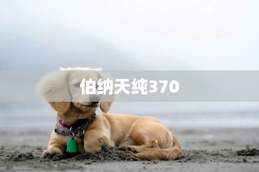 伯納天純370