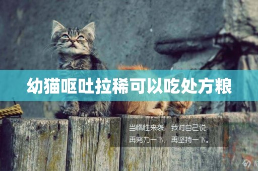 幼貓嘔吐拉稀可以吃處方糧