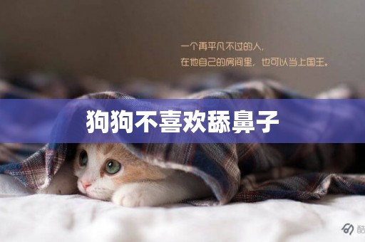 狗狗不喜歡舔鼻子
