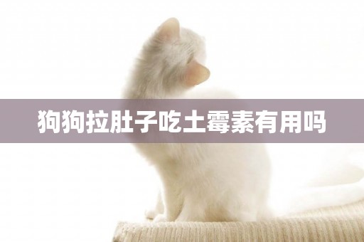 狗狗拉肚子吃土霉素有用嗎