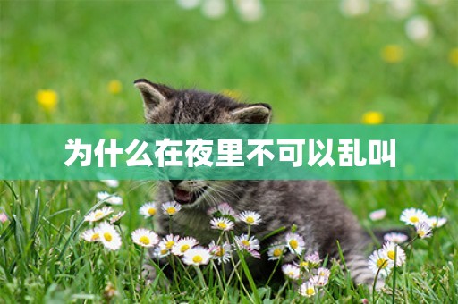 為什么在夜里不可以亂叫