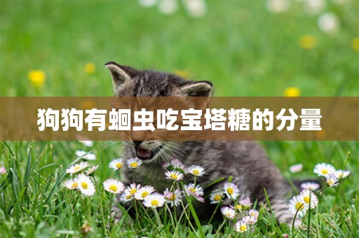 狗狗有蛔蟲吃寶塔糖的分量
