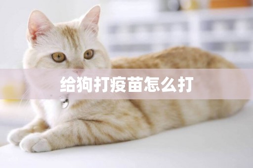 給狗打疫苗怎么打