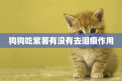 狗狗吃紫薯有沒有去淚痕作用
