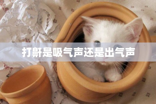 打鼾是吸氣聲還是出氣聲