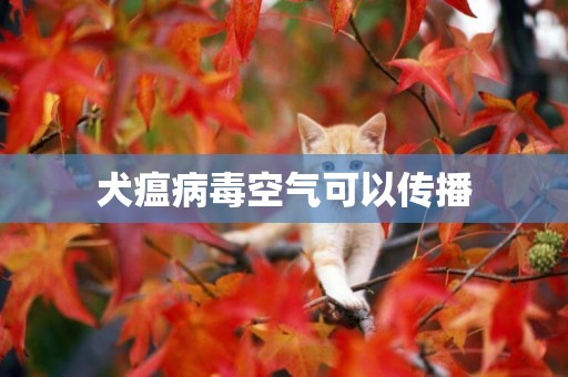 犬瘟病毒空氣可以傳播