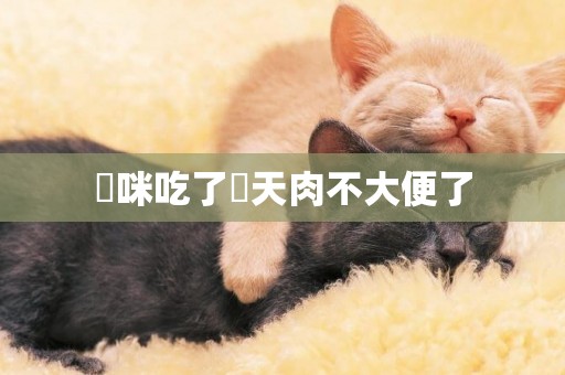 貓咪吃了幾天肉不大便了