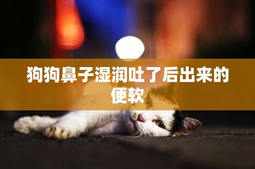 狗狗鼻子濕潤吐了后出來的便軟