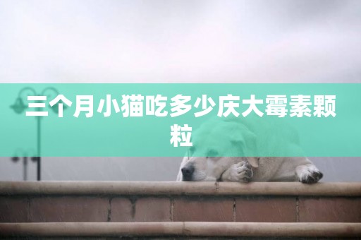 三個月小貓吃多少慶大霉素顆粒