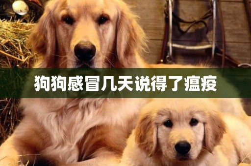 狗狗感冒幾天說得了瘟疫