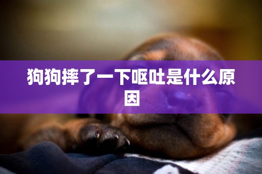 狗狗摔了一下嘔吐是什么原因
