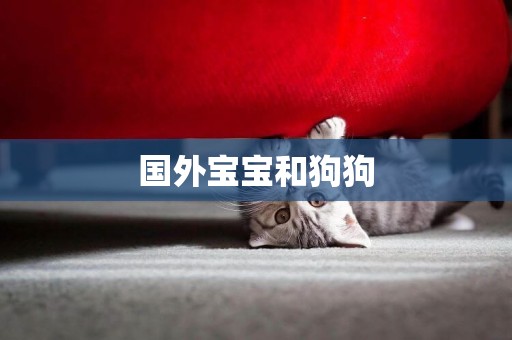 國外寶寶和狗狗