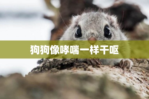 狗狗像哮喘一樣干嘔