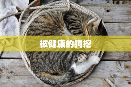 被健康的狗挖