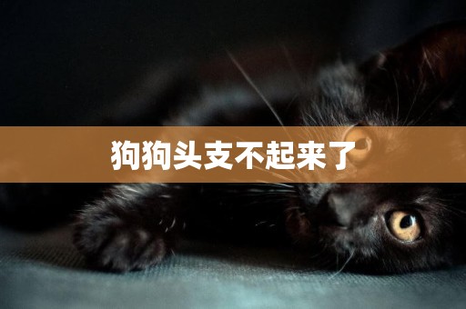 狗狗頭支不起來了