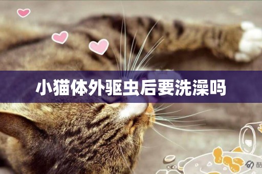 小貓體外驅蟲后要洗澡嗎