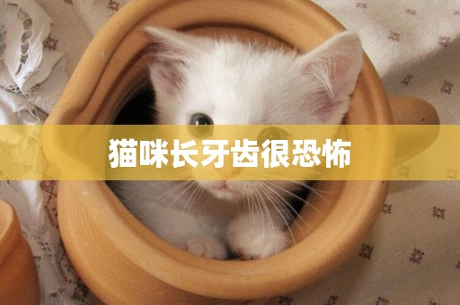 貓咪長牙齒很恐怖