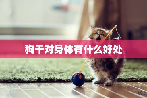 狗干對身體有什么好處