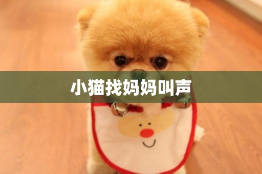 小貓找媽媽叫聲