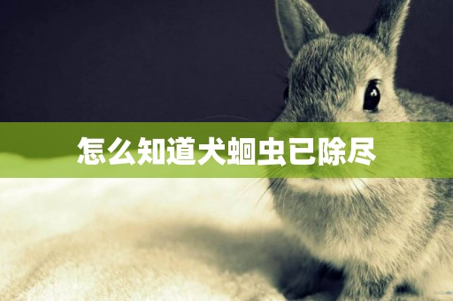 怎么知道犬蛔蟲已除盡