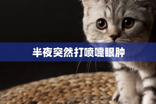 半夜突然打噴嚏眼腫