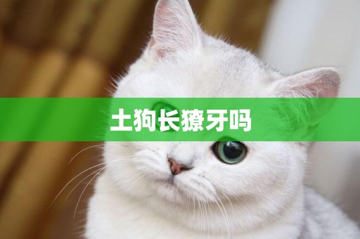 土狗長獠牙嗎