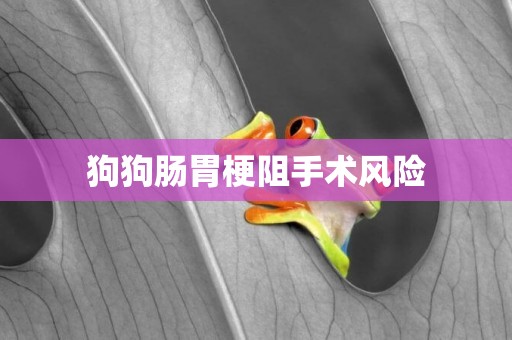 狗狗腸胃梗阻手術風險