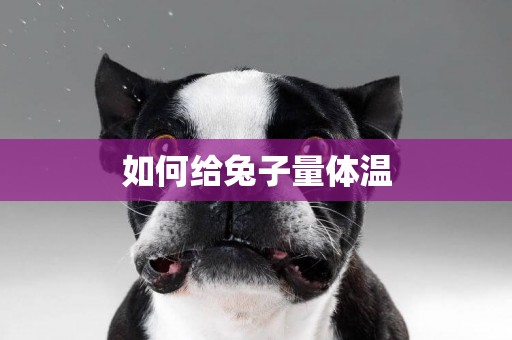 如何給兔子量體溫