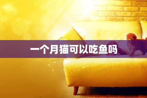 一個月貓可以吃魚嗎