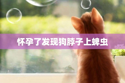 懷孕了發現狗脖子上蜱蟲