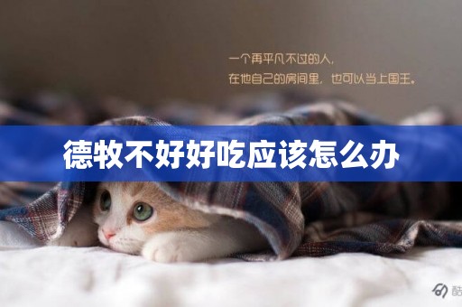 德牧不好好吃應該怎么辦