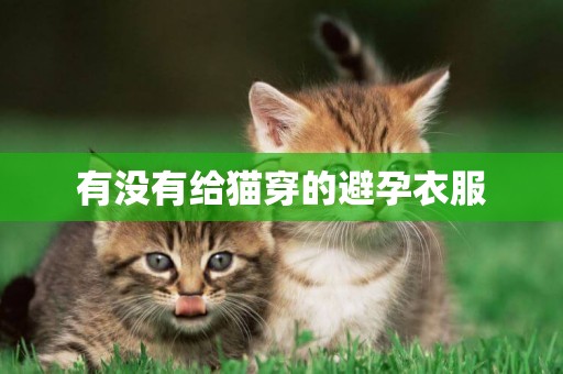 有沒有給貓穿的避孕衣服