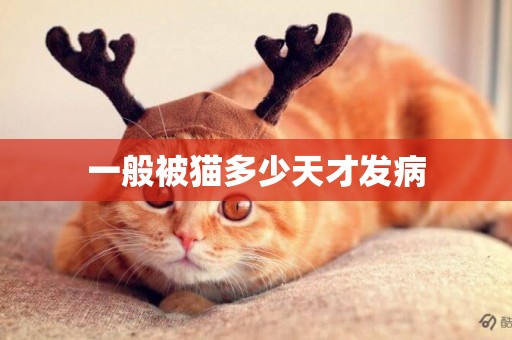 一般被貓多少天才發病