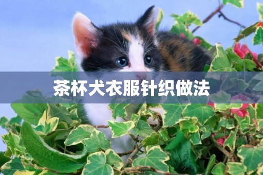 茶杯犬衣服針織做法