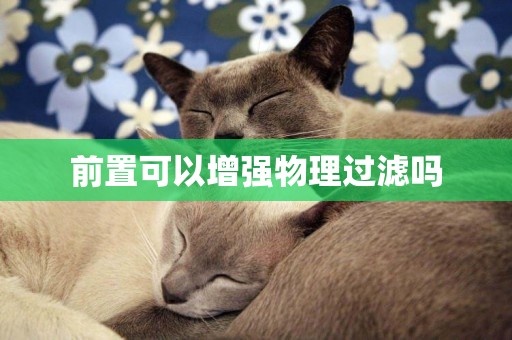 前置可以增強物理過濾嗎
