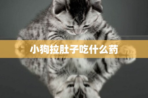 小狗拉肚子吃什么藥