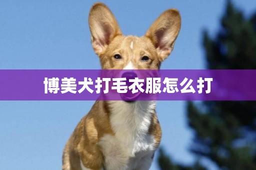 博美犬打毛衣服怎么打