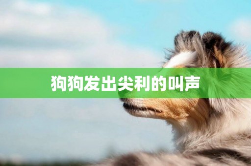 狗狗發出尖利的叫聲