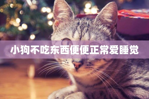 小狗不吃東西便便正常愛睡覺