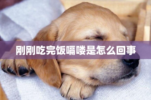 剛剛吃完飯嗝嘍是怎么回事
