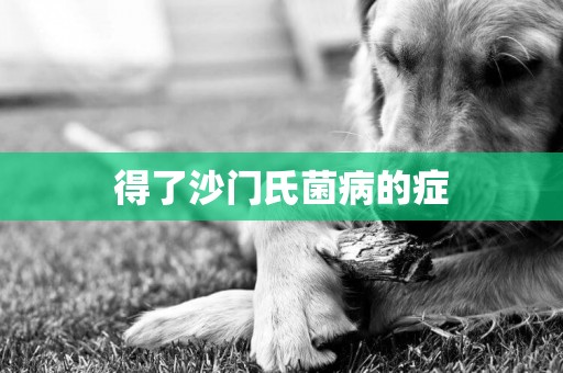 得了沙門氏菌病的癥