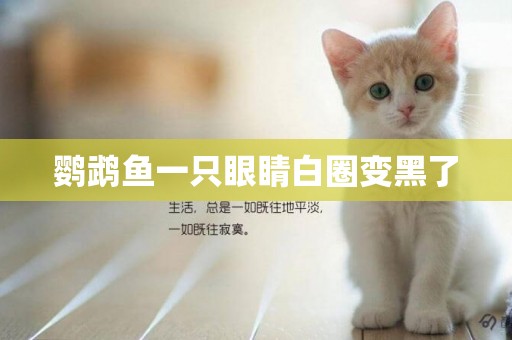 鸚鵡魚一只眼睛白圈變黑了