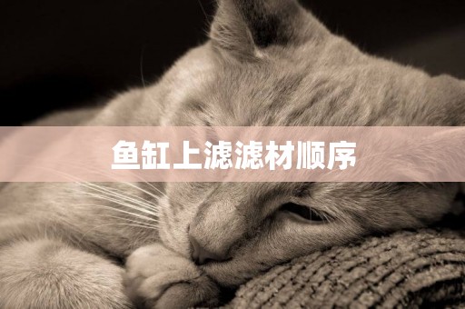 魚缸上濾濾材順序