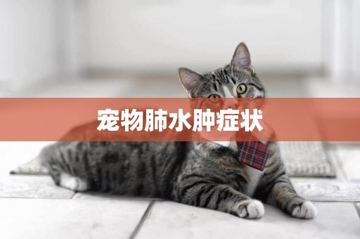 寵物肺水腫癥狀
