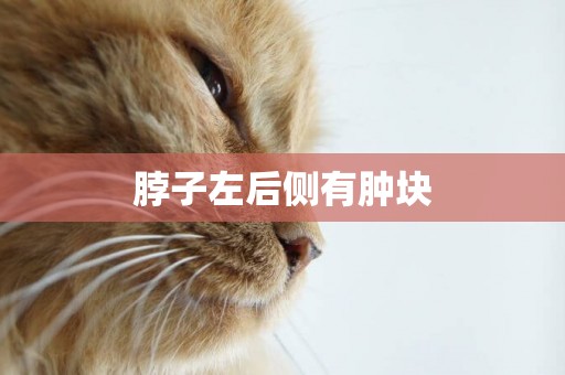 脖子左后側有腫塊