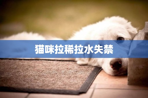 貓咪拉稀拉水失禁