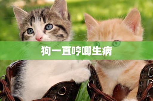 狗一直哼唧生病