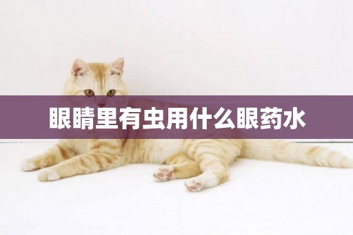 眼睛里有蟲用什么眼藥水