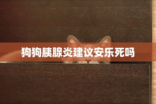 狗狗胰腺炎建議安樂死嗎