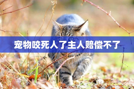 寵物咬死人了主人賠償不了